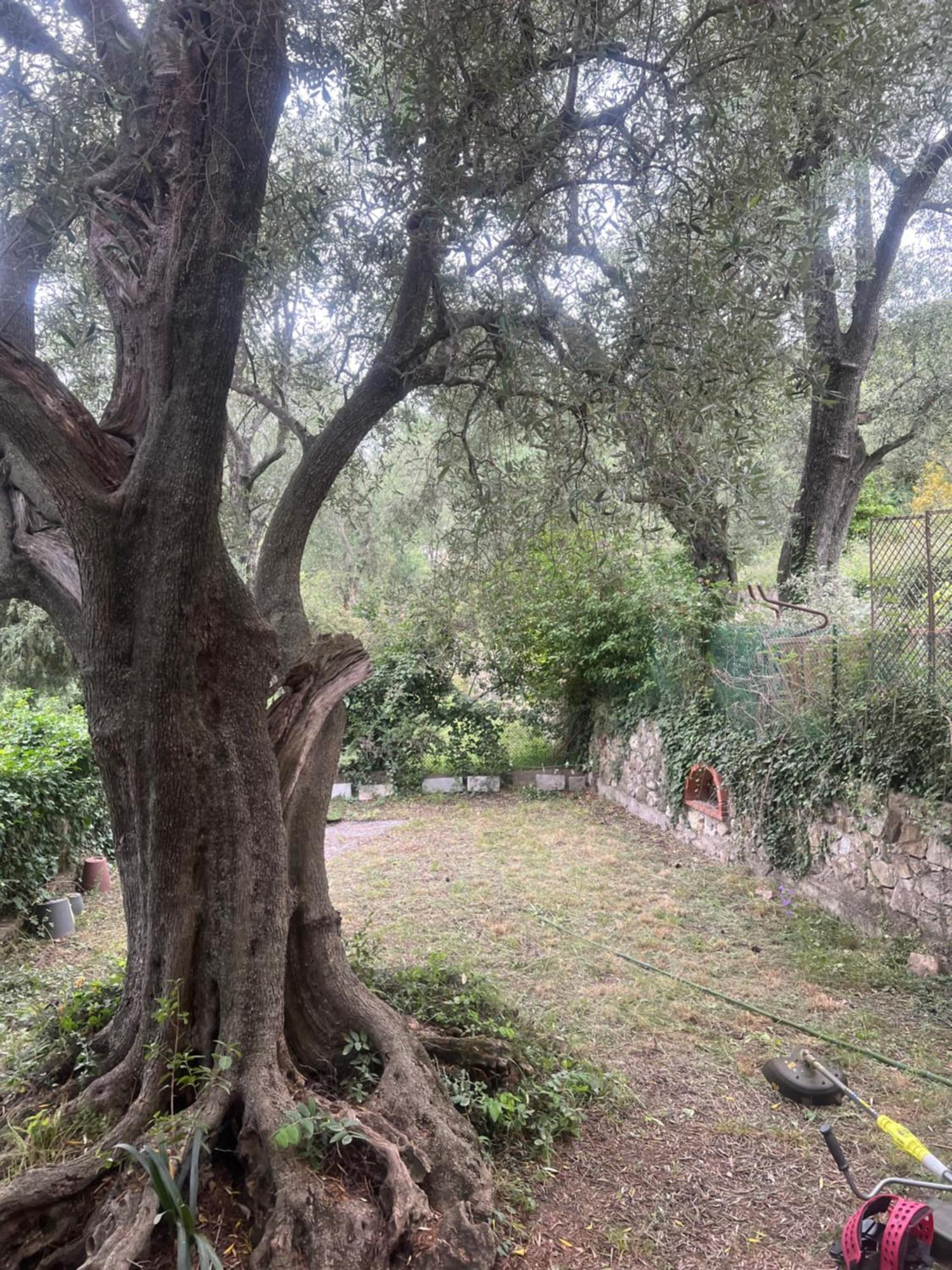 Bas De Villa Vue Mer Eze Village מראה חיצוני תמונה