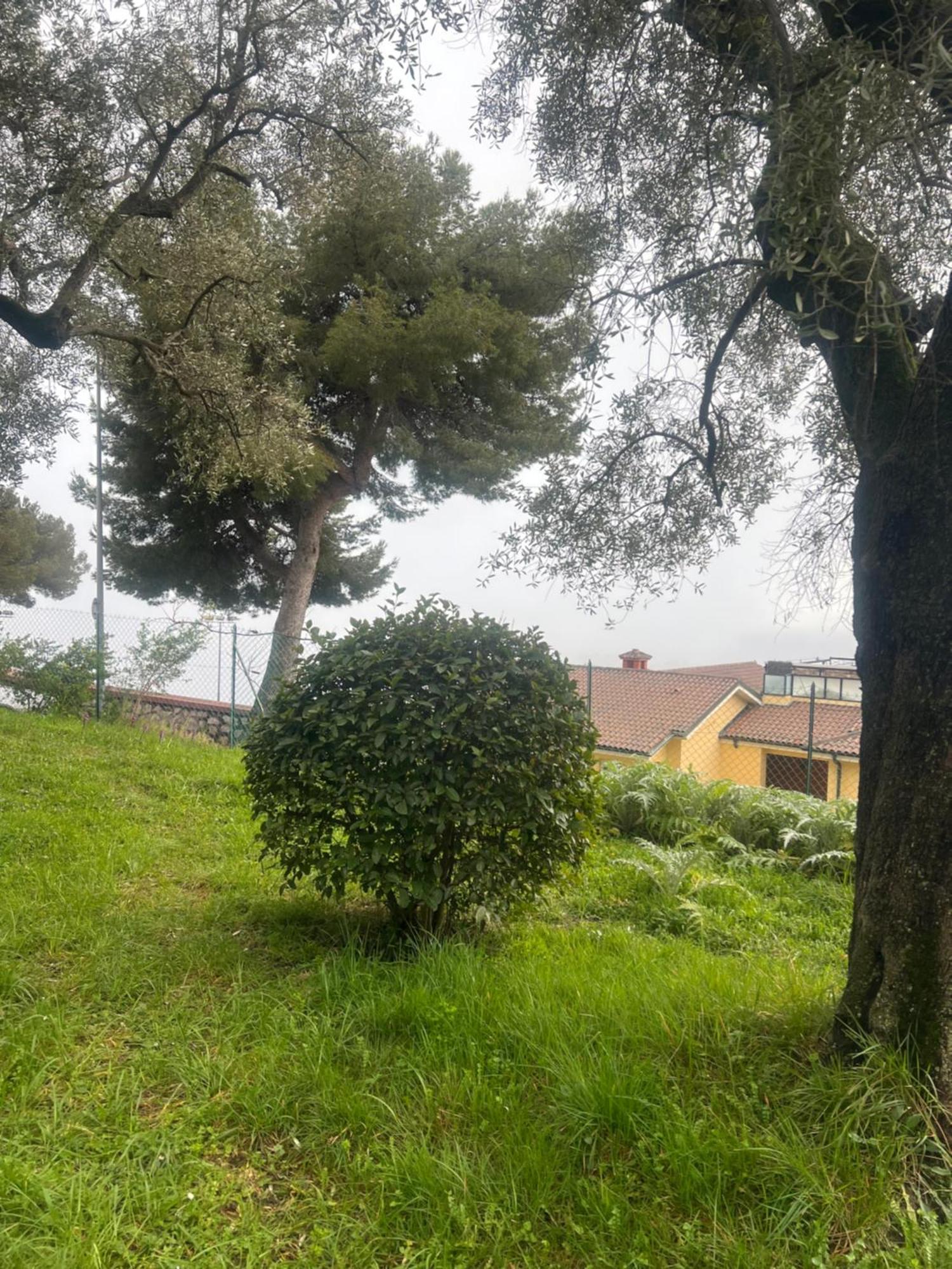 Bas De Villa Vue Mer Eze Village מראה חיצוני תמונה
