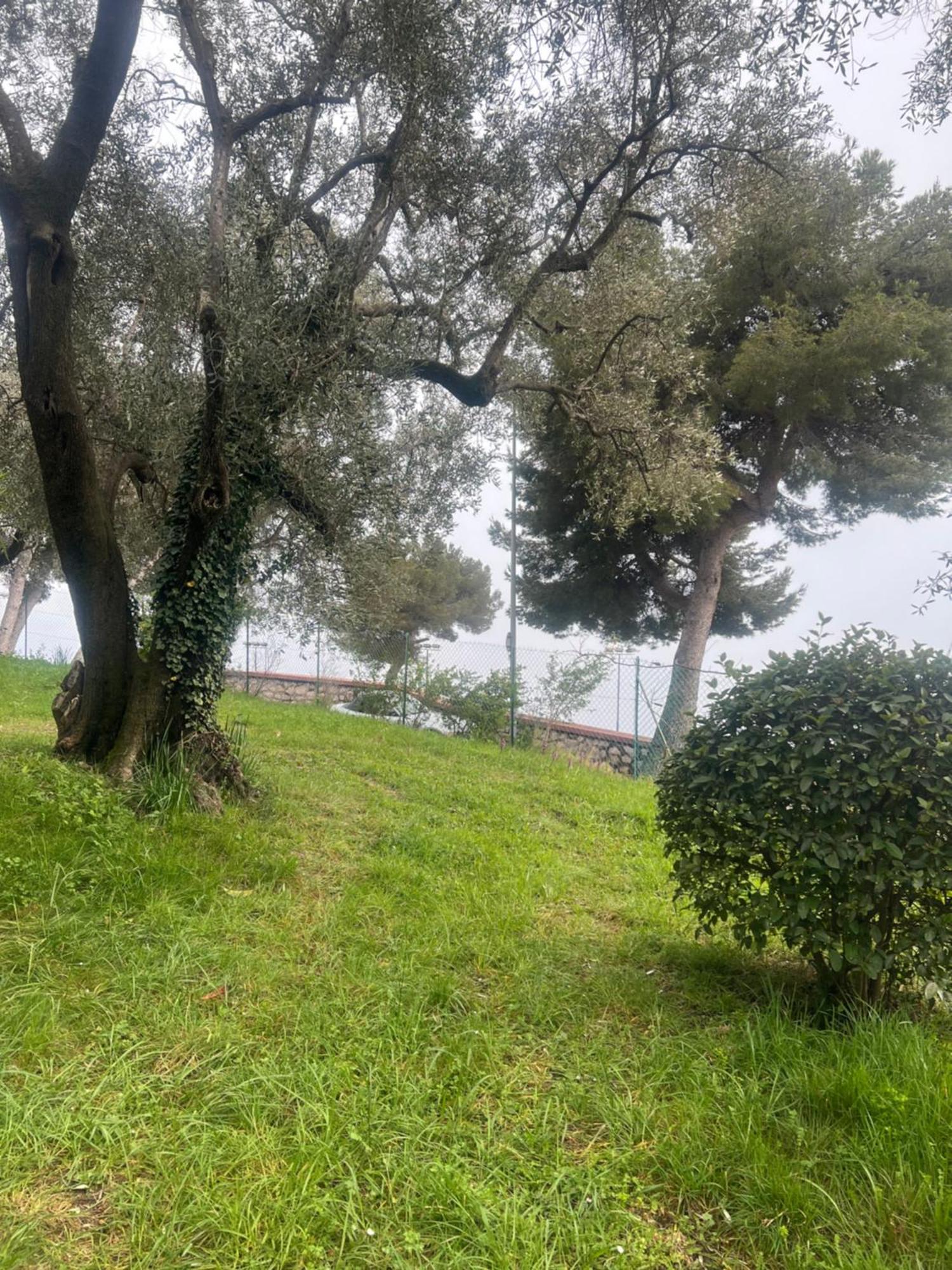 Bas De Villa Vue Mer Eze Village מראה חיצוני תמונה