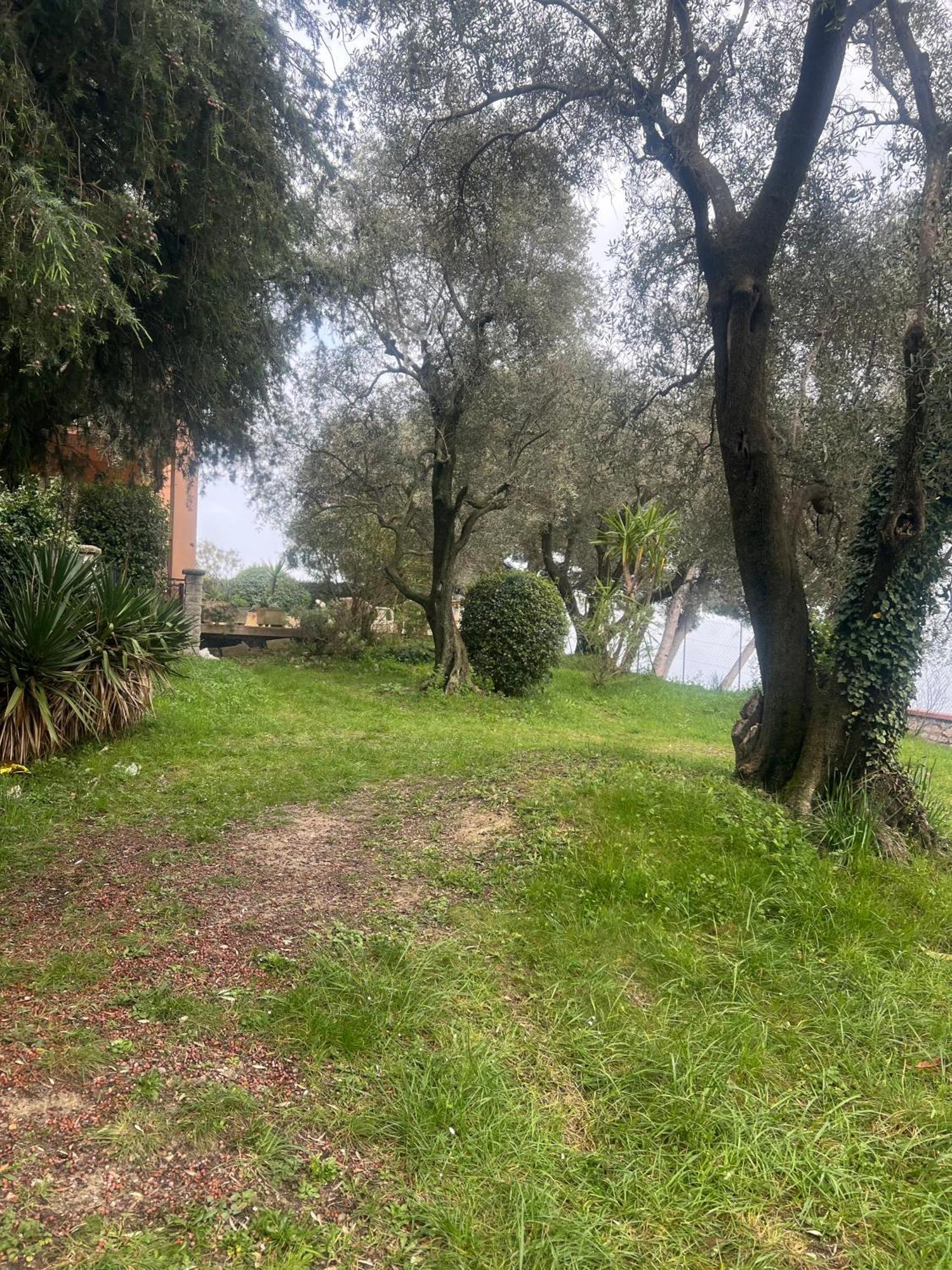 Bas De Villa Vue Mer Eze Village מראה חיצוני תמונה